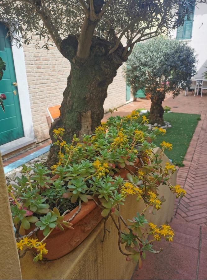 B&B La Chicca Ravenna Kültér fotó