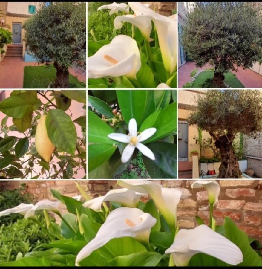 B&B La Chicca Ravenna Kültér fotó